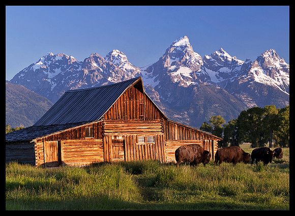 Grand Teton N.P. (D24)
