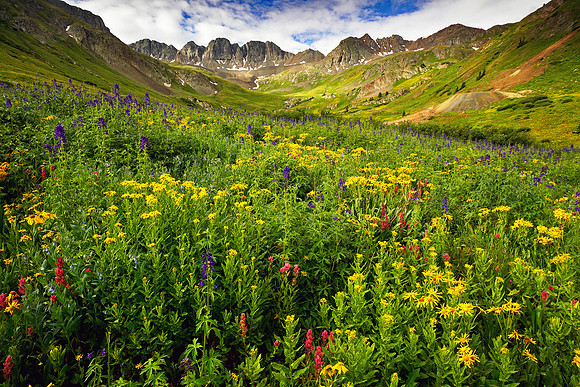 American Basin 8