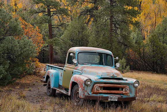 Fall Colors 253