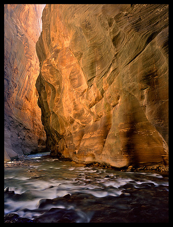 Zion N.P. - The Narrows (P134)
