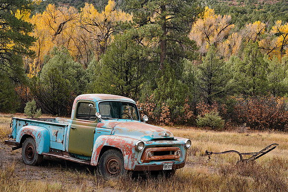 Fall Colors 252