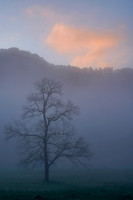 Boxley Valley 1