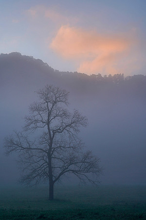 Boxley Valley 1