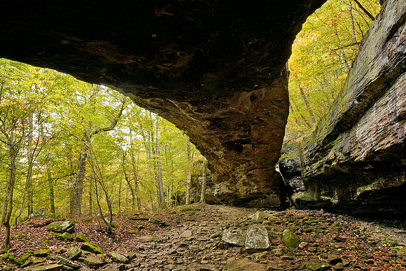 Alum Cove Natural Bridge 2