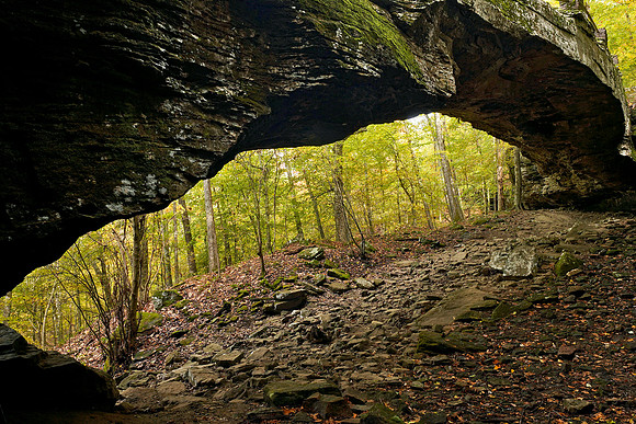 Alum Cove Natural Bridge 1