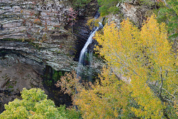 AR, Petit Jean SP, Cedar Falls