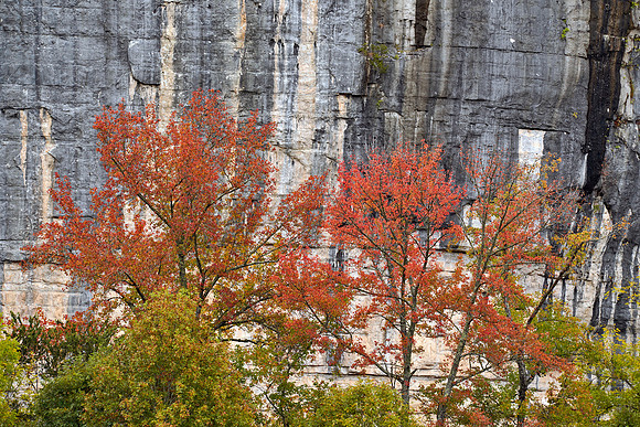 Steele Creek Recreation Area 2