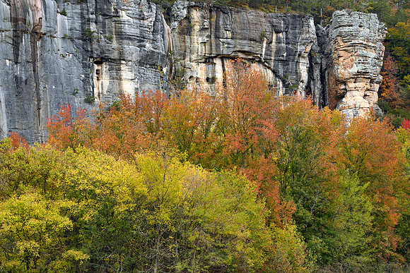 Steele Creek Recreation Area 3