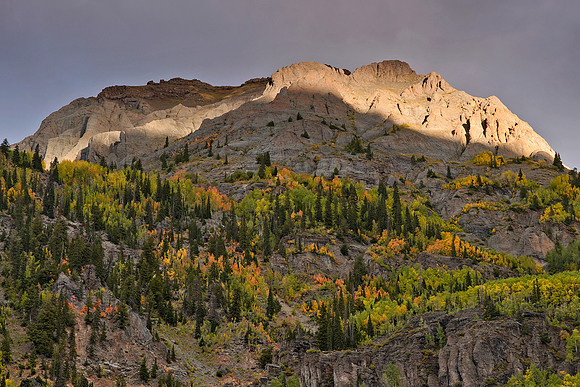 Fall Colors 261