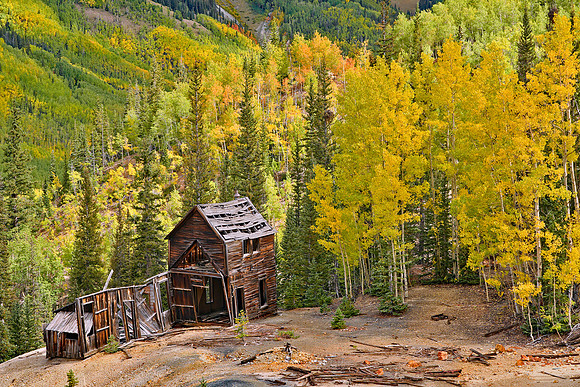 Fall Colors 259