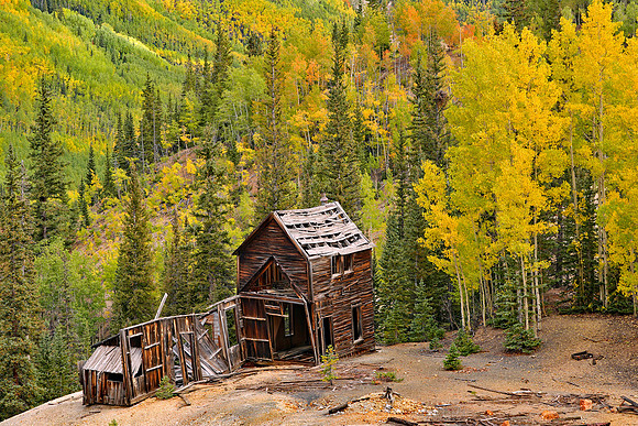 Fall Colors 260