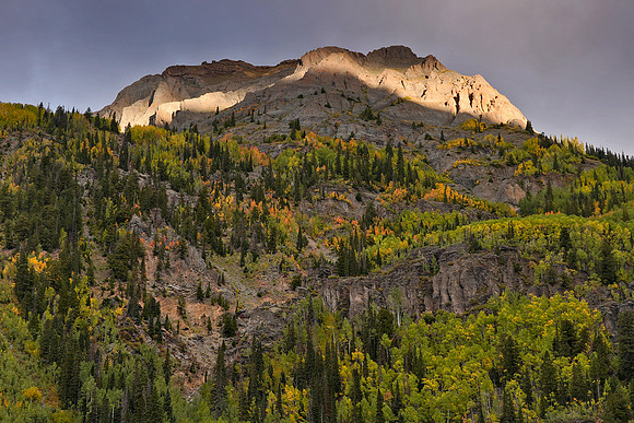 Fall Colors 262