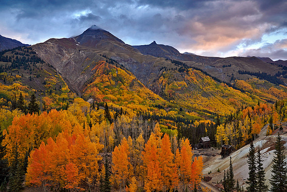Fall Colors 266