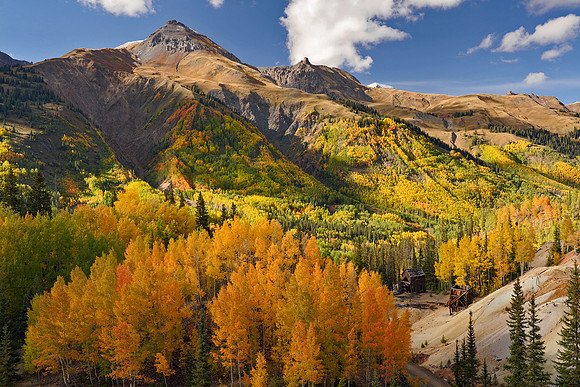 Fall Colors 265