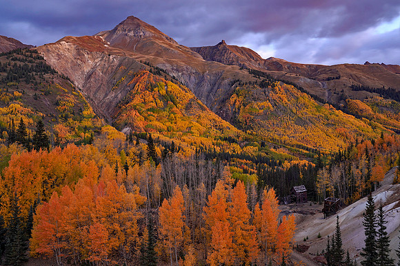Fall Colors 267