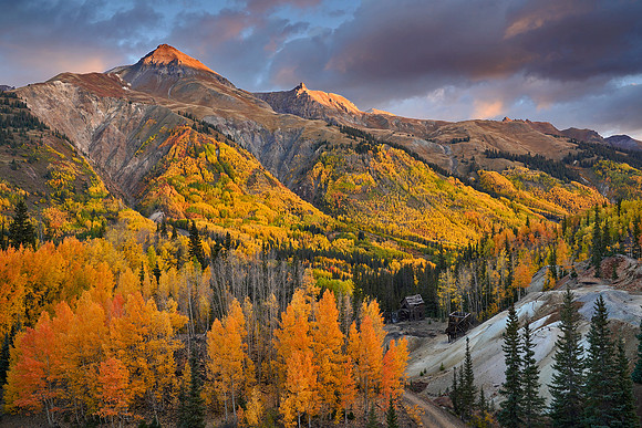 Fall Colors 269