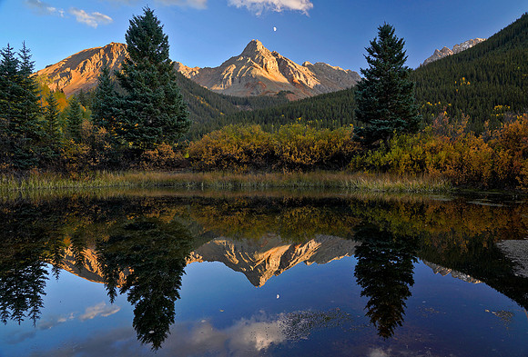 Fall Colors 274