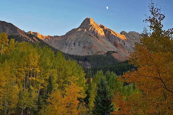 Fall Colors 275
