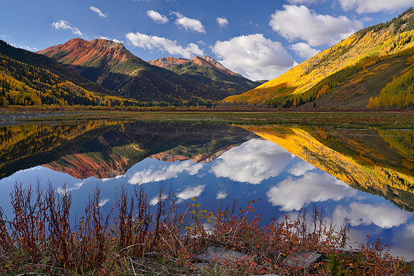 Fall Colors 276