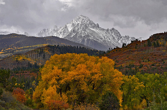 Fall Colors 287