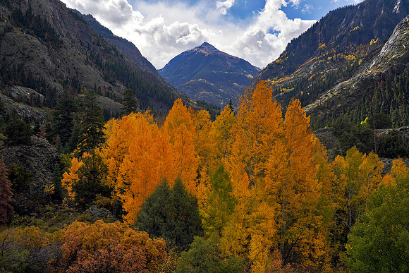 Fall Colors 286
