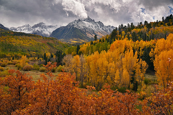 Fall Colors 288