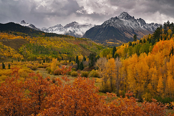 Fall Colors 289