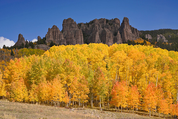 Fall Colors 294