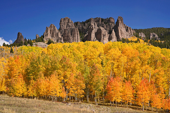 Fall Colors 295