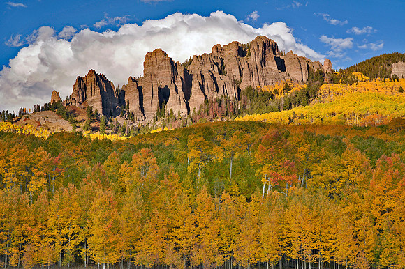 Fall Colors 296