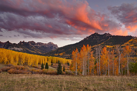 Fall Colors 299