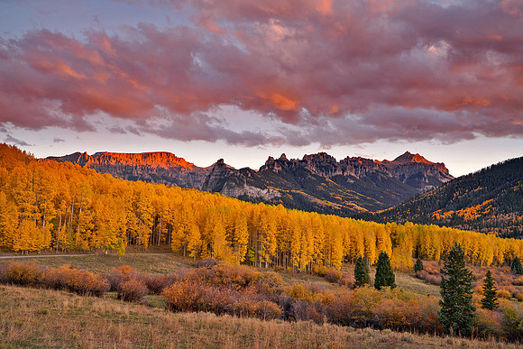 Fall Colors 298