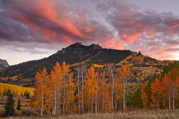 Fall Colors 300