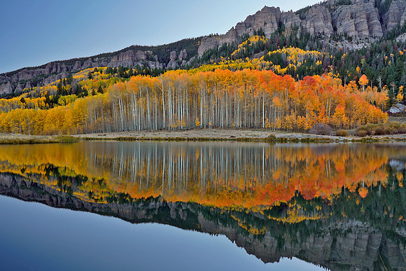 Fall Colors 305