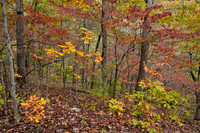 Grand Gulf State Park 1
