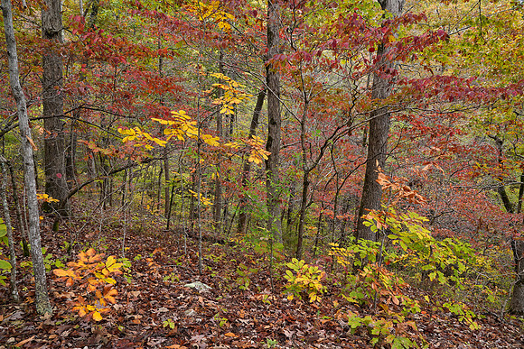 Grand Gulf State Park 1