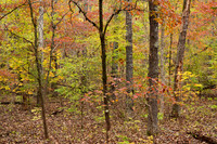 Grand Gulf State Park 2