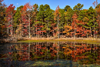 Pond reflection with moon