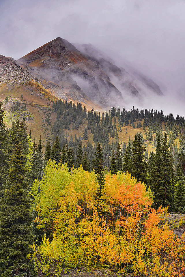 Fall Colors 137