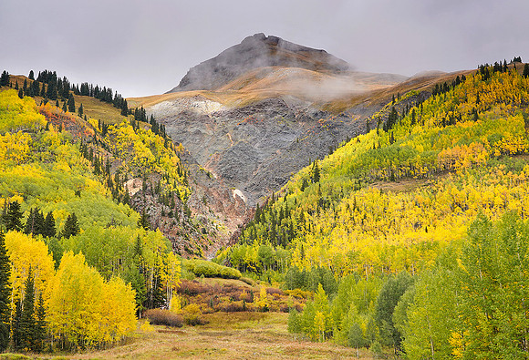 Fall Colors 138