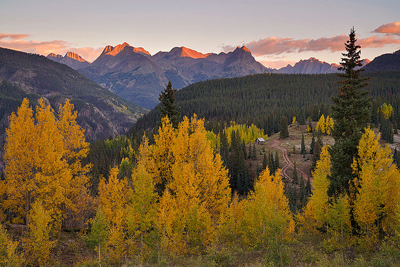 Fall Colors 142