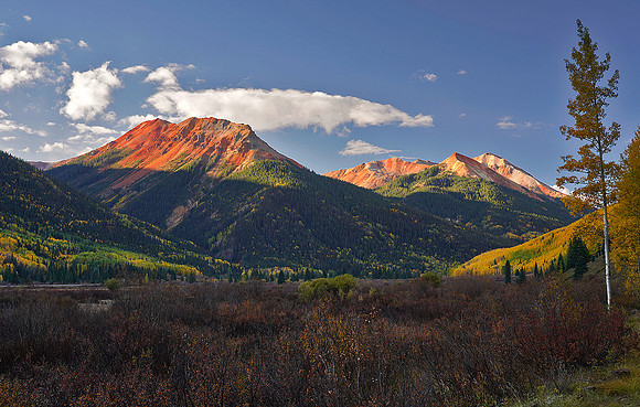 Fall Colors 154