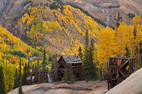 Fall Colors 153