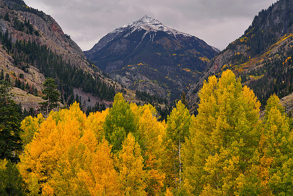 Fall Colors 156