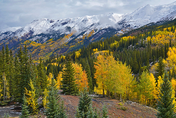 Fall Colors 159