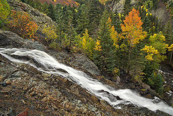Fall Colors 158
