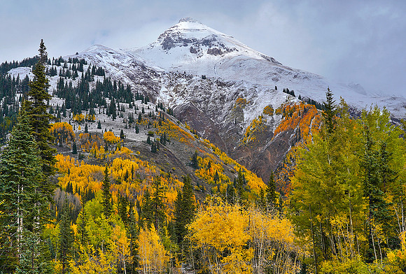 Fall Colors 160