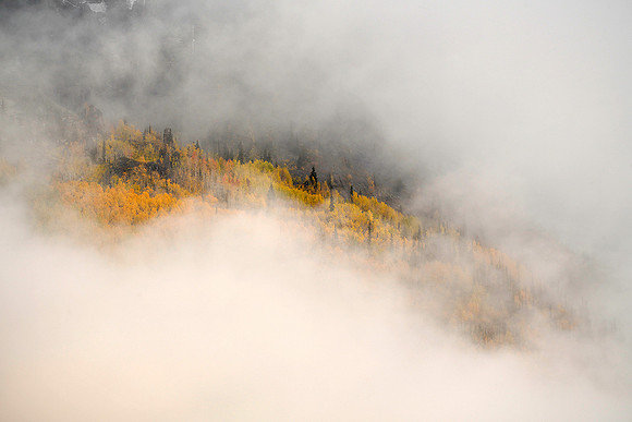 Fall Colors 163