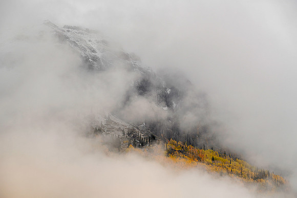 Fall Colors 164