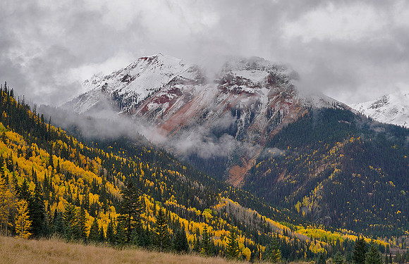 Fall Colors 167